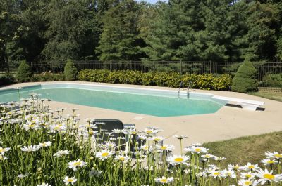Gunite Pool Repair